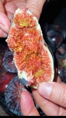 صوت جميل راحه نفسيه يساعد على النوم ⏱️  مهدئ الاعصاب❤️