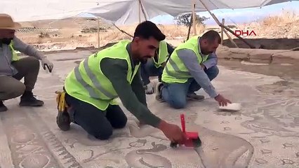 Satın aldığı tarlada 84 metrekarelik taban mozaiği buldu