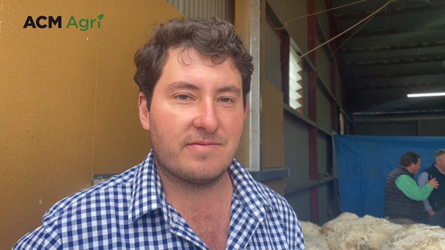 Jack McRae, Oakbank Merino and Poll Merino stud, Gre Gre North | Stock & Land