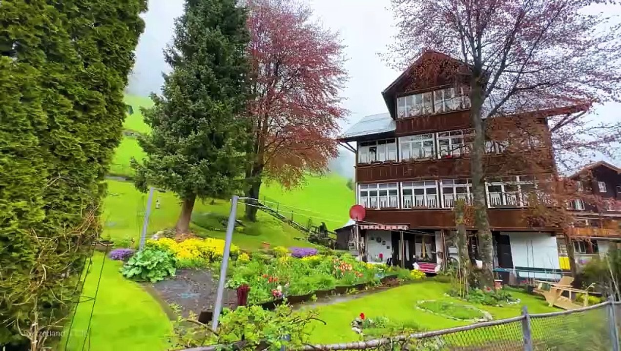 Beautiful rain walking tour in Gimmelwald  A Swiss village