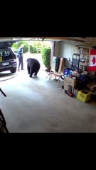 Une aventure inoubliable qui restera gravée dans sa mémoire ! Ne manquez pas de vivre des moments aussi extraordinaires !