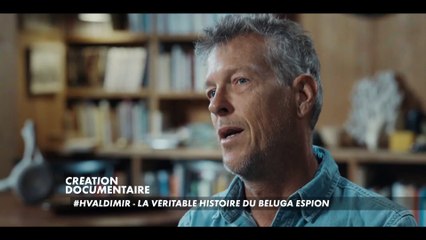 #Hvaldimir - la véritable histoire du béluga espion - 25 septembre