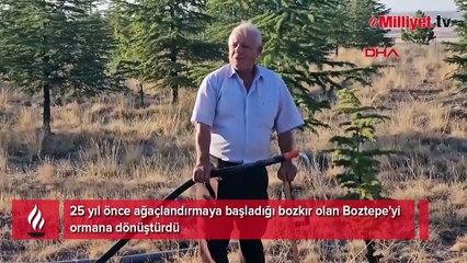 Nişan ve düğünlerde 'makas kesme' parası ile ağaç aldı! Bozkırı, ormana çevirdi