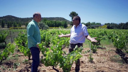 #NotariosRurales lanza su segunda edición para destacar el papel del notario en la España rural