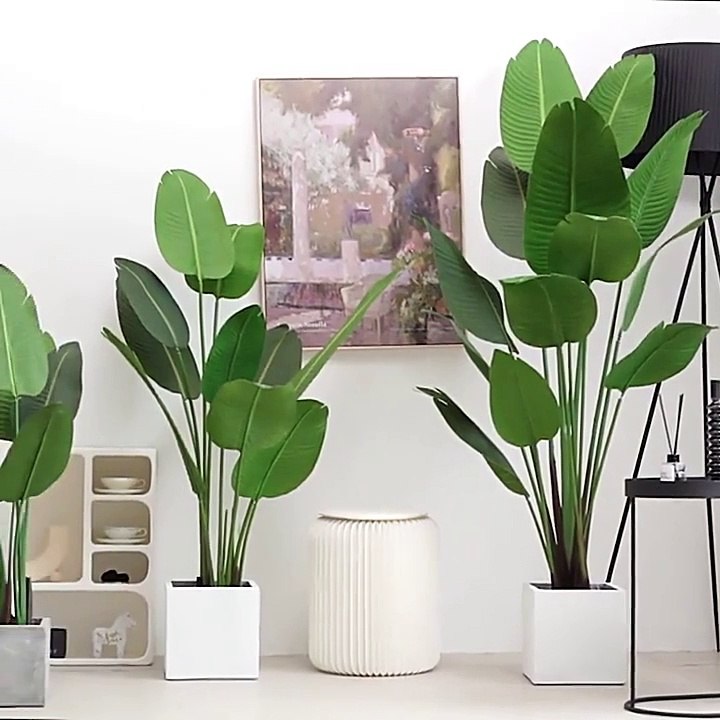 Mua cây giả phòng ngủ giá ưu đãi, chất lượng cao, giống thật 90% | Tư vấn miễn phí ngay