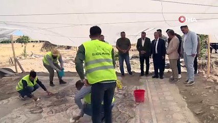 Fidan dikmek için çukur açtı, hayal edemediği bir şeyle karşılaştı