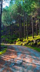  Discover Dabran – A Hidden Gem in Abbottabad! 