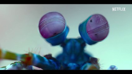 Unsere Ozeane - S01 Trailer (Deutsche UT) HD