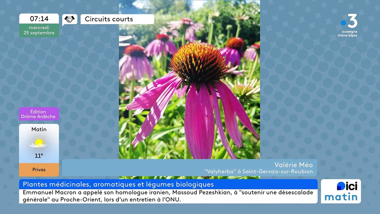 À Saint-Gervais-sur-Roubion, "Valyherba", des plantes médicinales et aromatiques "Simples", des légumes Bio