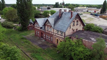 Kraina Stu Jezior - Rezerwat przyrody Kolno Międzychodzkie, czyli ponad 600-letnie dęby