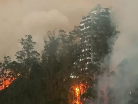 Schwere Brände wüten in Ecuadors Hauptstadt