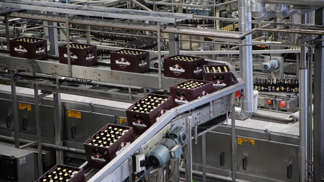 Trappiste Westmalle : dans les coulisses de fabrication d'une des bières d'abbaye préférées des belges