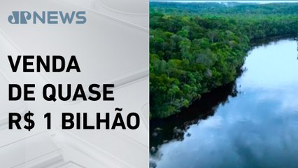Empresas estrangeiras devem comprar crédito de carbono