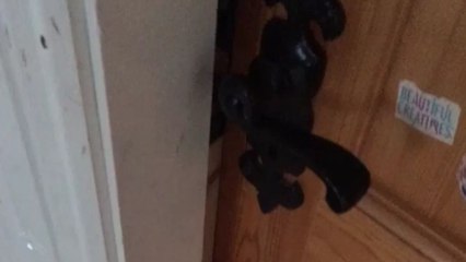 Annoyed sister has an anger episode after persistent teasing from playful sibling