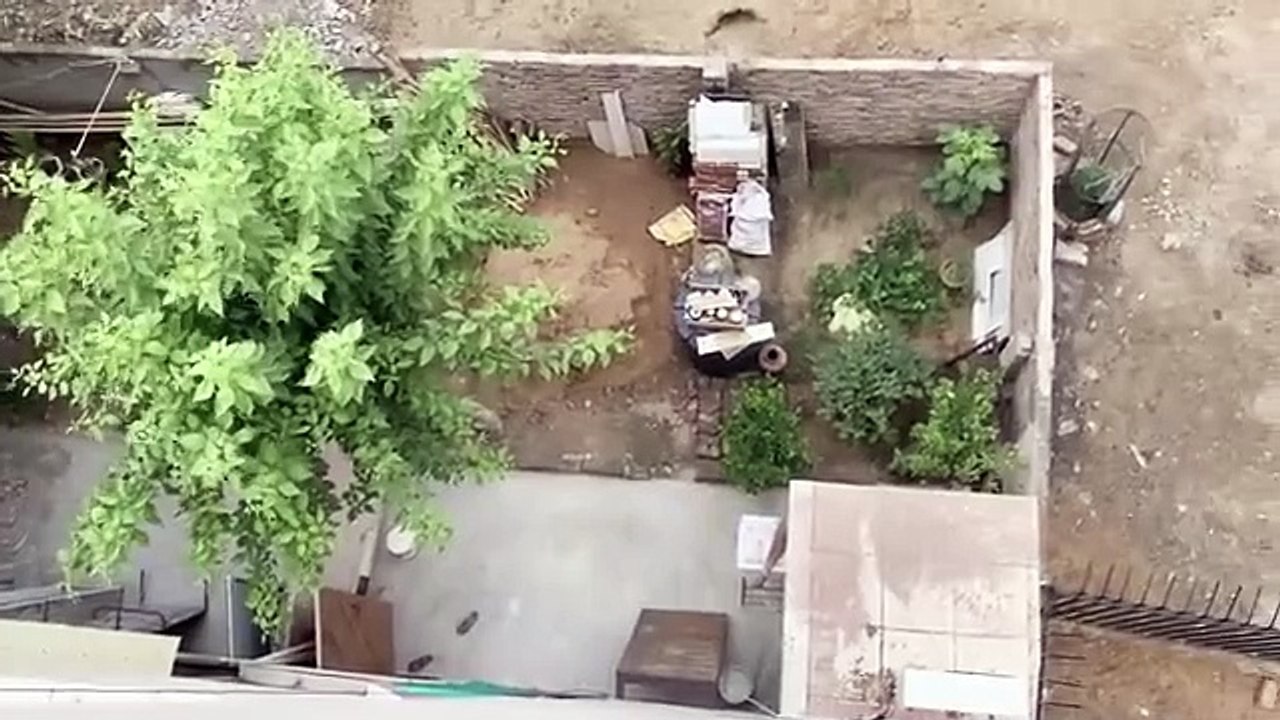 What to Feed a 60DayOld Rottweiler Puppy Thor the Rottweiler Dog