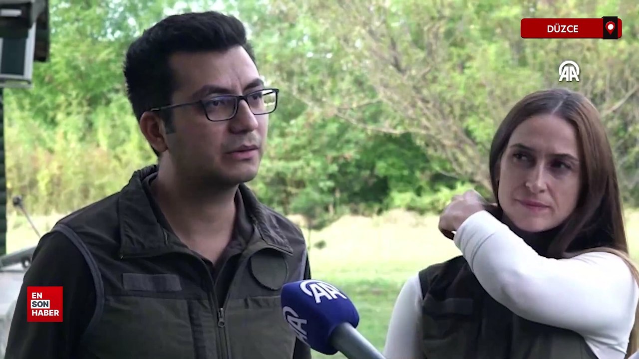 Düzce'de iyileştirilen kızıl şahin göç yolculuğuna devam edecek