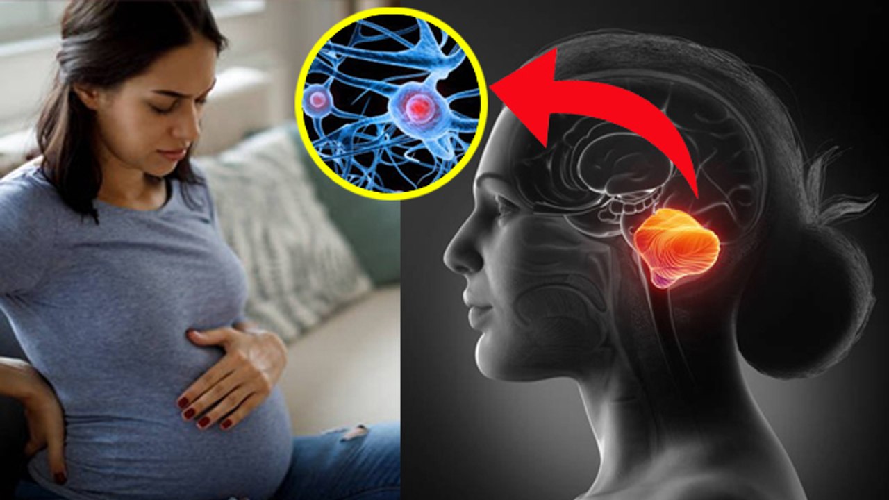 Pregnancy Brain क्या होता है | Pregnancy Brain Symptoms and Treatment | Boldsky
