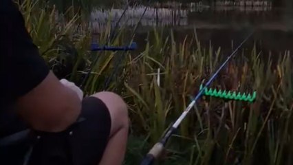 Fishing prank fiasco: Man falls over after friend’s rod tap trick