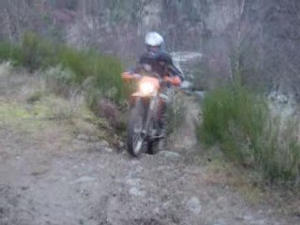 greg