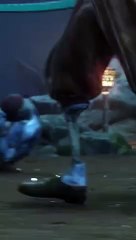 New World Aeternum arrive le 15/10 sur pc , ps5 et Xbox série x/s #amazongames #newworld #mmorpg