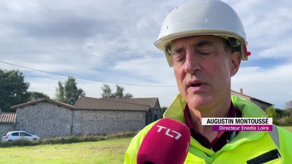 Des nichoirs pour les moineaux soulcie