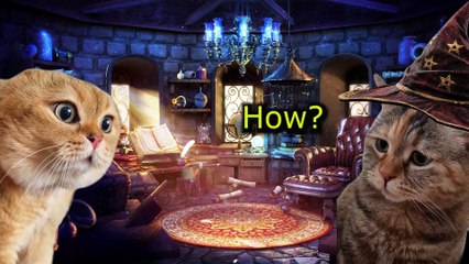 When a Cat Looks for a Wizard to make his crush fall in love with him #catmemes