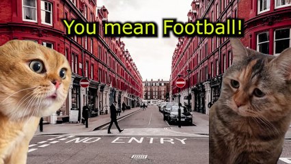 When A American Cat is Lost in London #catmemes