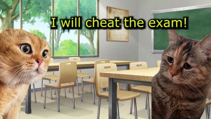 When A Cat must Cheat to get good grades on School