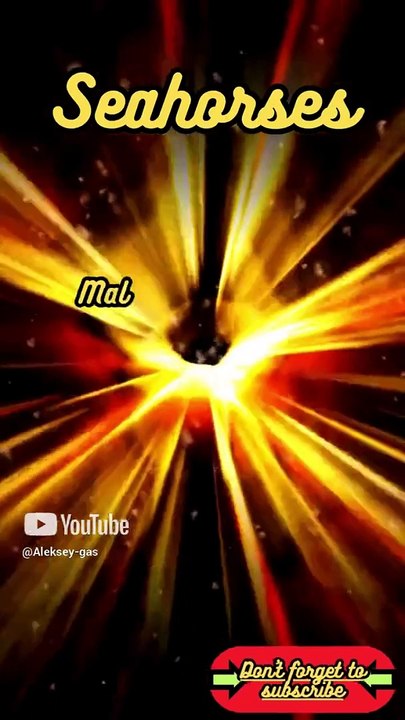 Animal Facts     Seahorses        #shorts