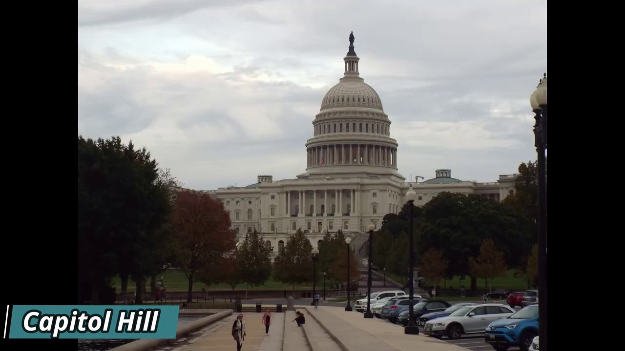 Washington D.C. Impressions of the sights and sounds of USA's vibrant and historical capital #travel