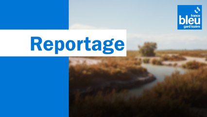 Quel avenir pour les salariés de Solvay, à Salindres (Gard) ?