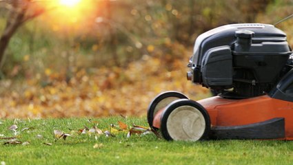 Ultimate Guide: When to Stop Mowing Your Lawn This Fall for a Lush Spring 🌱