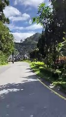 Absen dulu orang sumbar