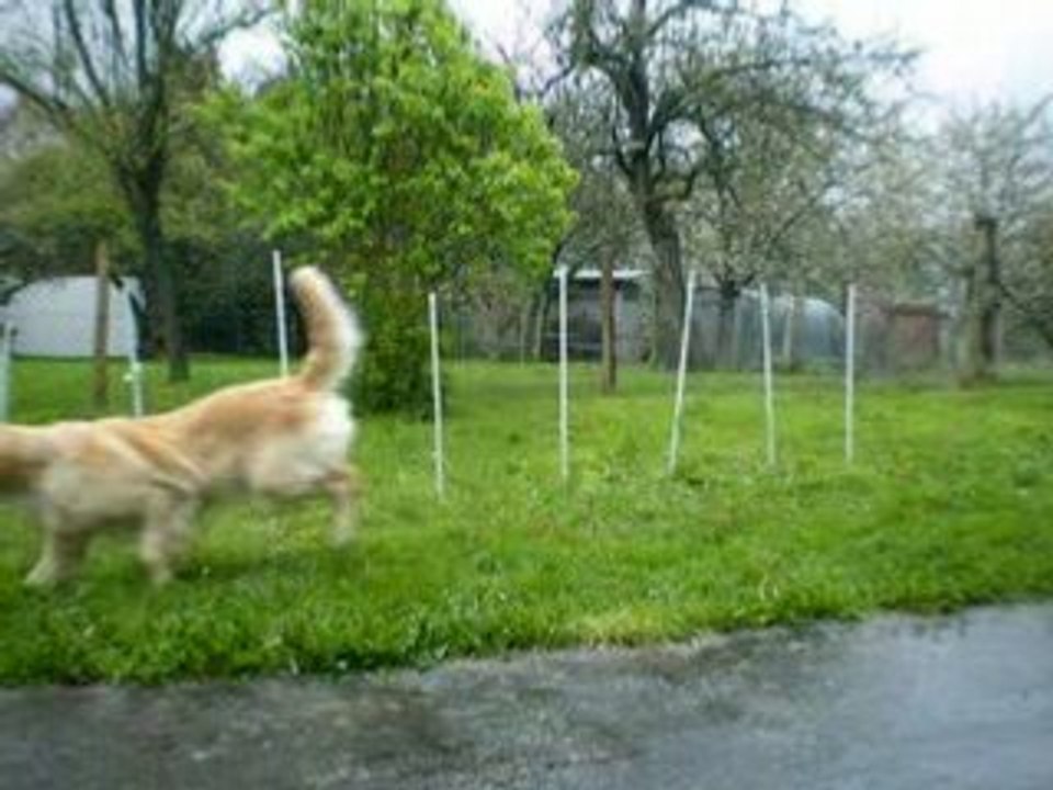 Photo 087