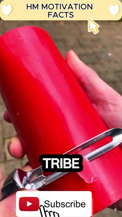  Your Vibe Attracts Your Tribe! 