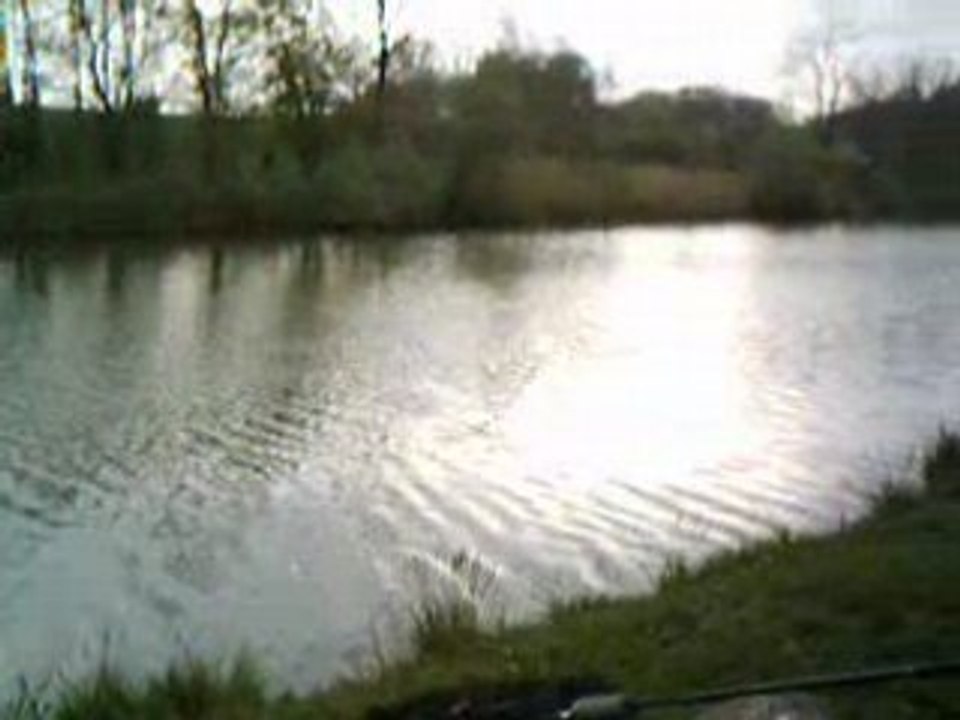 peche carpe