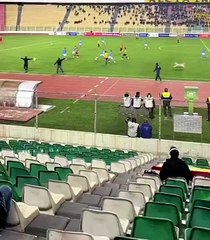 Bolivya’da sahaya giren bir köpek, futbolcularla oynamak istedi