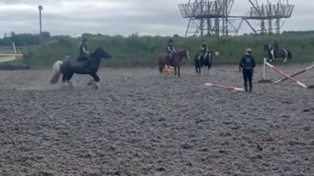 Horse misjudges jump and sends rider to the ground during riding lesson