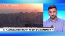 Charbel Sayah : «Je milite pour un Liban libre, pas un Liban détruit par des guerres que le peuple ne veut pas»