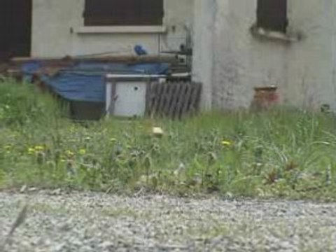 Minizilla Brushless 6200kv lipo 7.4v 2cell