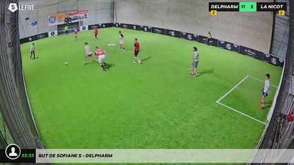 But de Sofiane S - DELPHARM