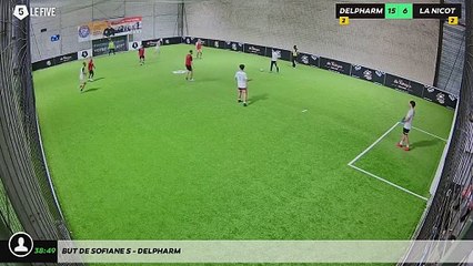 But de Sofiane S - DELPHARM
