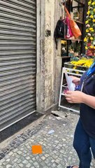 Operação de combate à pirataria apreende meia tonelada de produtos falsificados e fecha loja no centro do Rio