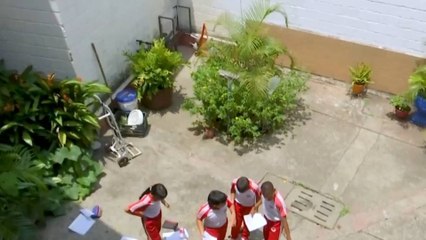 Así funciona la primera ecoescuela de Cali, donde el cuidado de la biodiversidad es parte fundamental de la educación