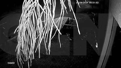 Carretinha é furtada no Bairro Maria Luiza