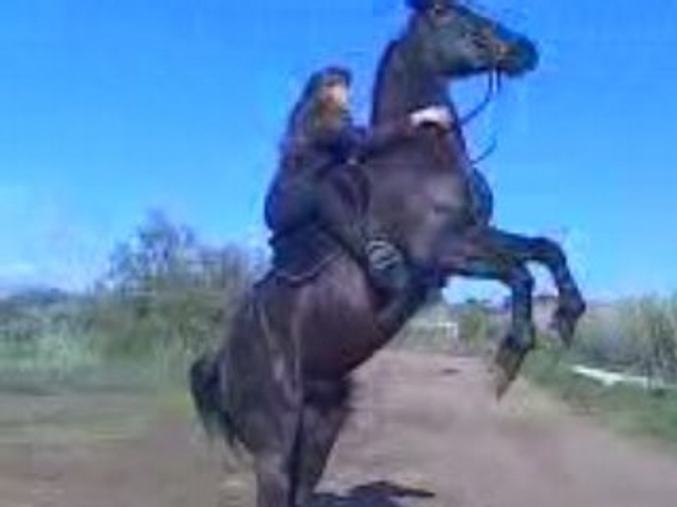 Cabré Monté !