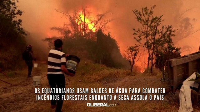 Os equatorianos usam baldes de água para combater incêndios florestais enquanto a seca assola o país