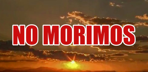 NO MORIMOS