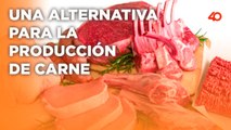 Una alternativa a la producción de carne logrará una revolución en la industria alimentaria.