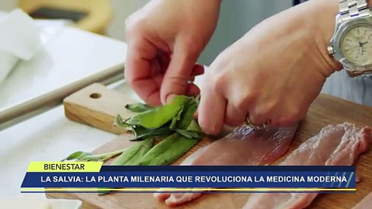 VTR BIENESTAR (LA SALVIA)